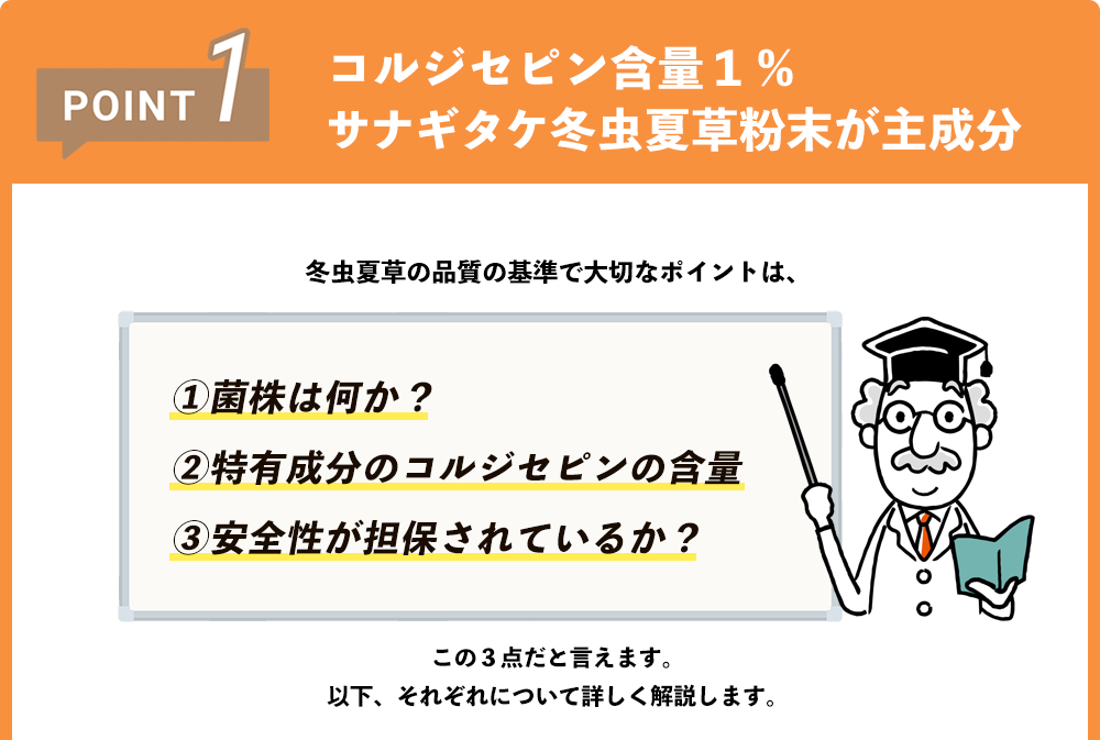 コルジセピン含量１％ サナギタケ冬虫夏草粉末が主成分