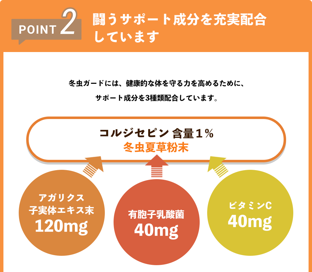 闘うサポート成分を充実配合しています